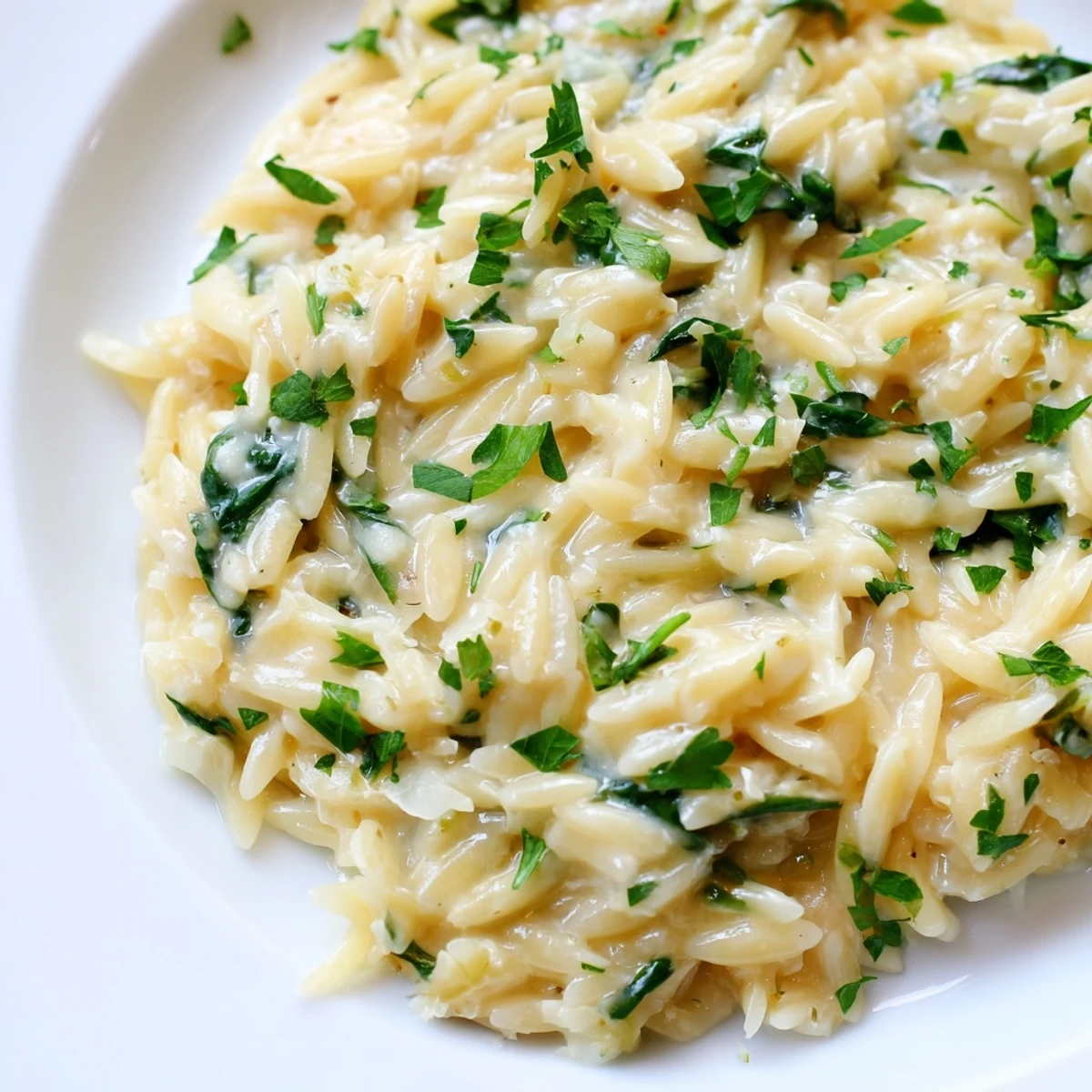 Steaming bowl of one-pot creamy orzo garnished with fresh parsley, ready to enjoy.