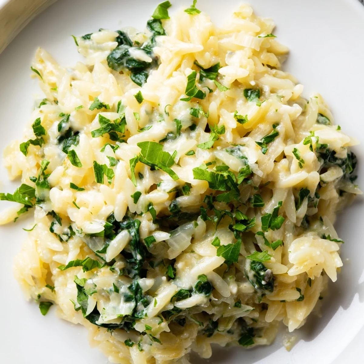 A close-up of a delightful bowl of one-pot creamy orzo, showcasing its comforting texture.
