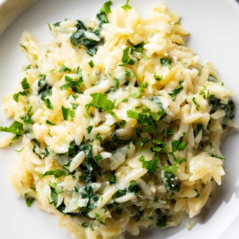 A close-up of a delightful bowl of one-pot creamy orzo, showcasing its comforting texture.